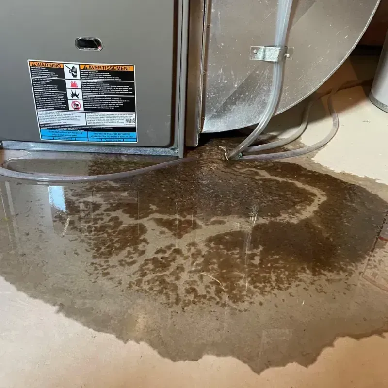 Appliance Leak Cleanup in Stevens Point, WI